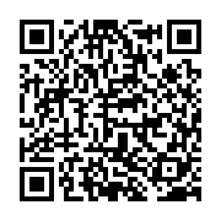 QR code for FLE368