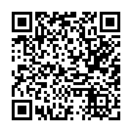 QR code for FLU313