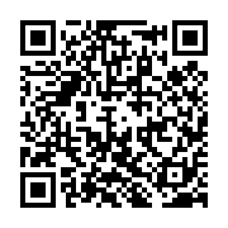 QR code for FLV411