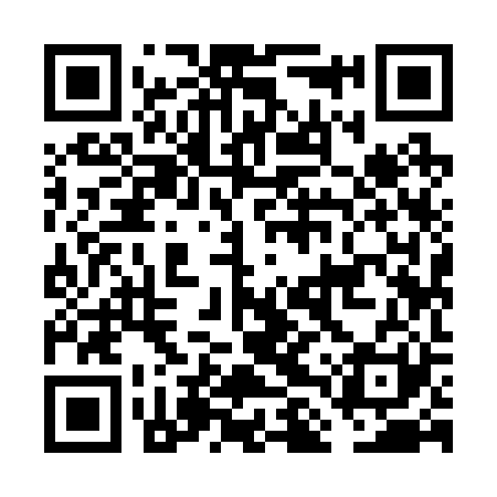 QR code for FLY221