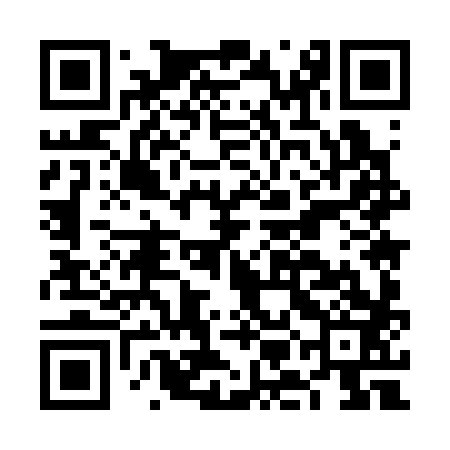 QR code for FMM383