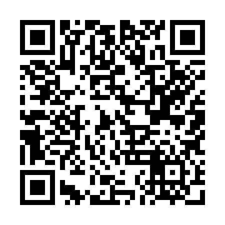 QR code for FNM386
