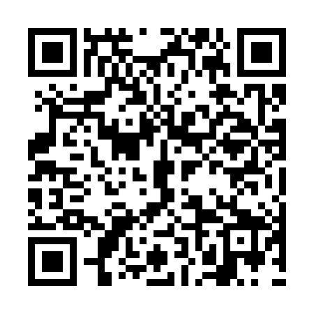 QR code for FNN389