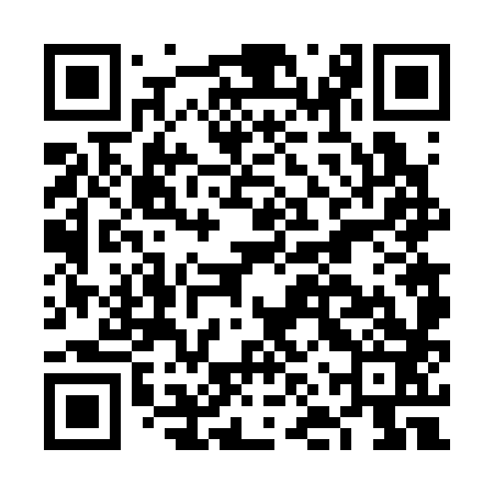 QR code for FNV383
