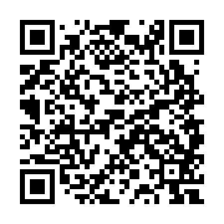 QR code for FPV383