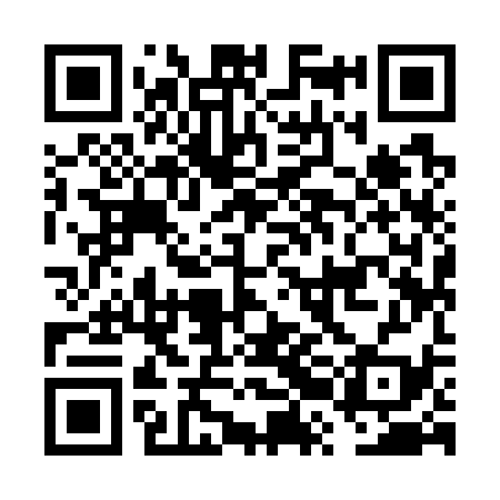 QR code for FRI739