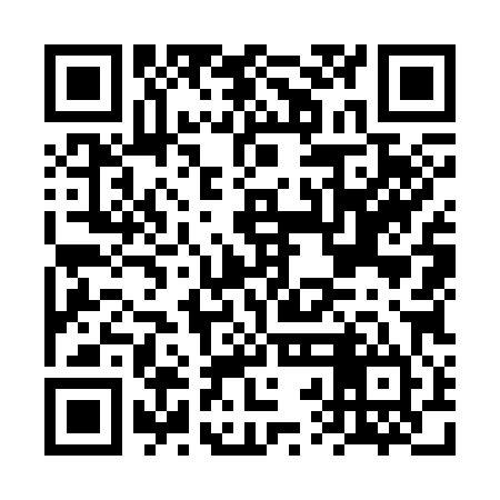 QR code for FRO384