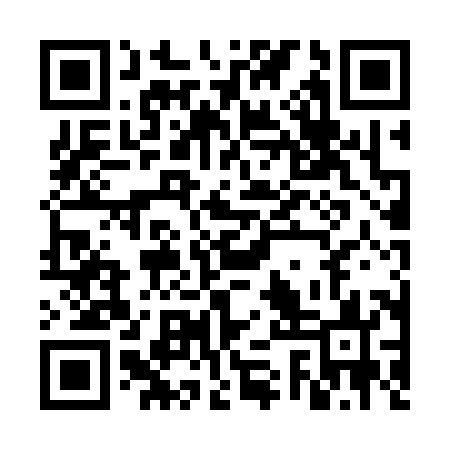 QR code for FSP383