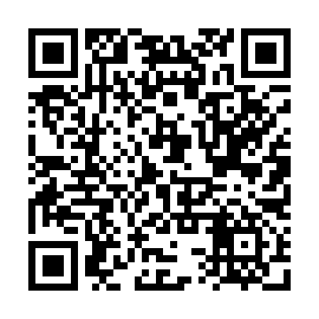 QR code for FST197