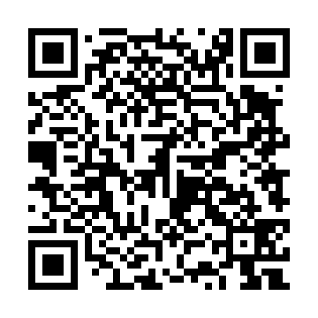 QR code for FST439