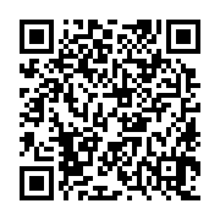 QR code for FTO384