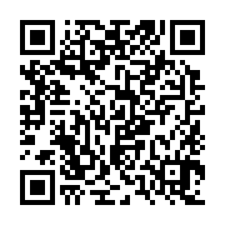 QR code for FUN384