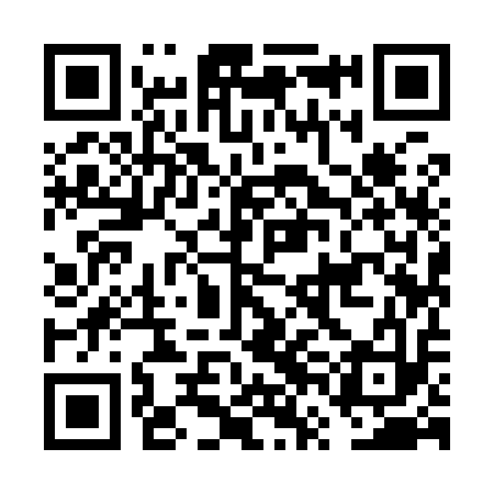 QR code for FVI913
