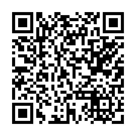 QR code for FZD206