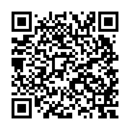 QR code for FZG689