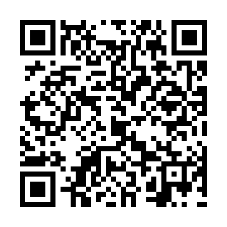 QR code for FZL385