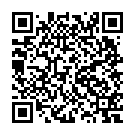 QR code for FZO611
