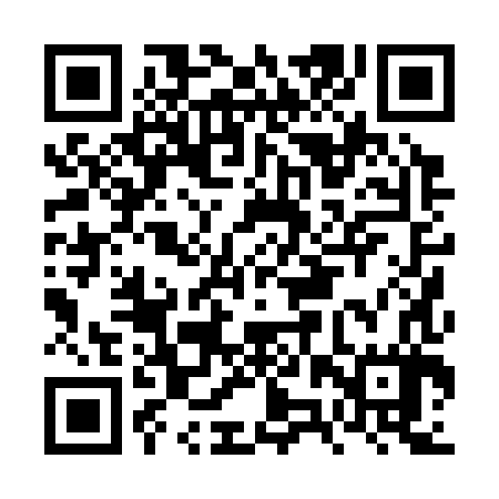 QR code for FZP387