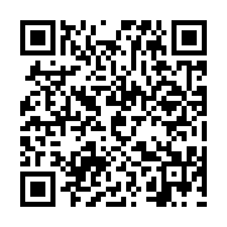 QR code for FZZ911
