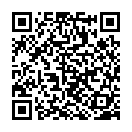 QR code for GAM369