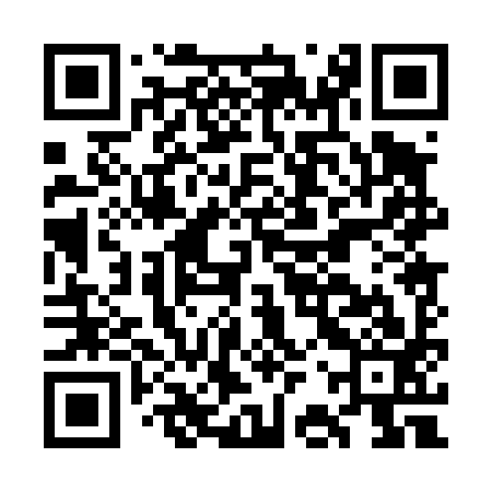 QR code for GBP493