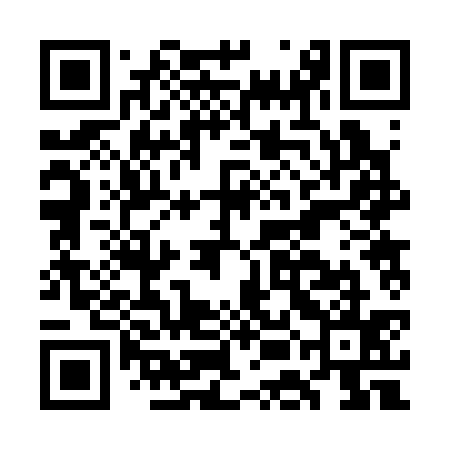 QR code for GEB335