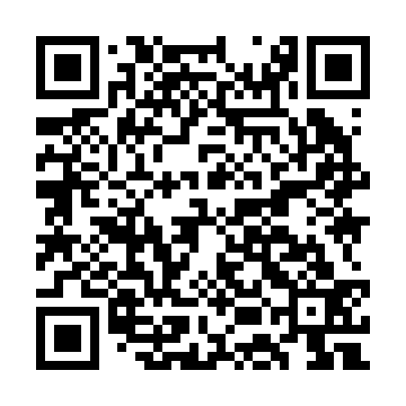 QR code for GEI233