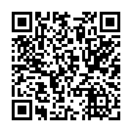 QR code for GFR295