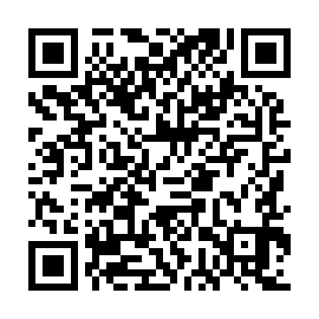 QR code for GGX991