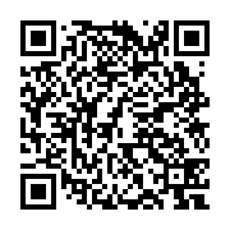 QR code for GHS339