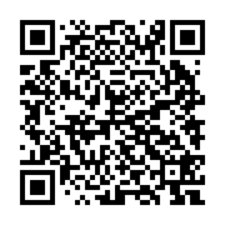 QR code for GIN228