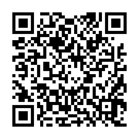 QR code for GIS446
