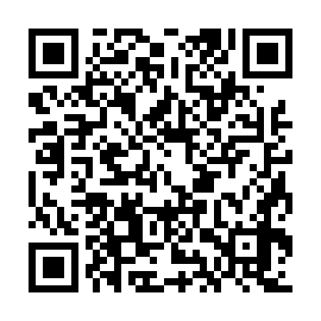 QR code for GIS478