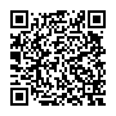 QR code for GIS499