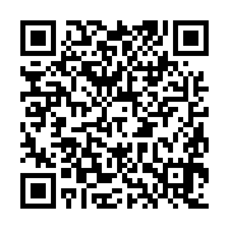 QR code for GIS595