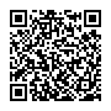 QR code for GIS613