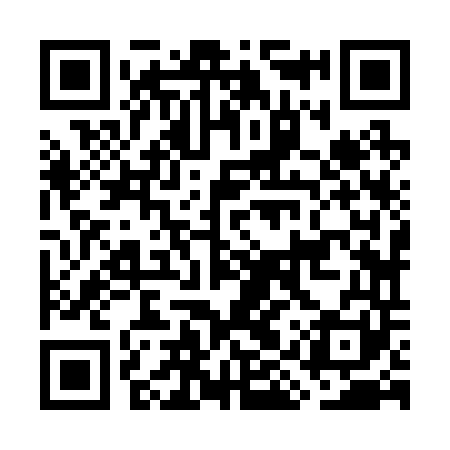 QR code for GIZ241