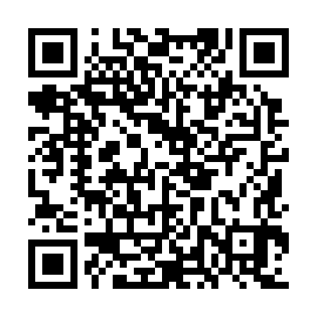 QR code for GLY383