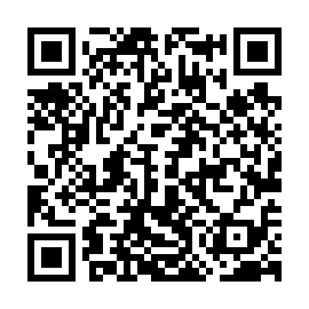 QR code for GOL619