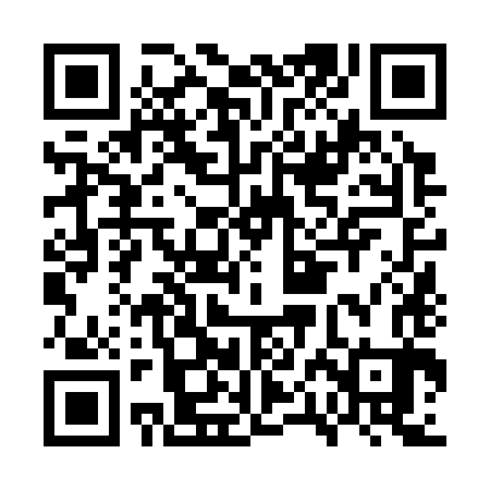 QR code for GPN383