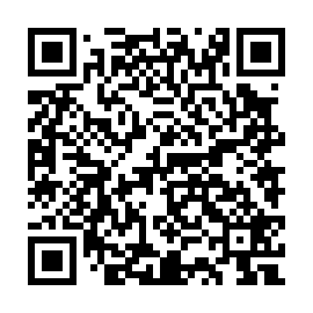 QR code for GSN029