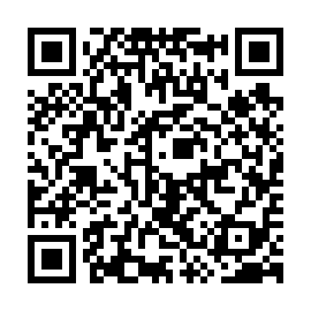 QR code for GSS619