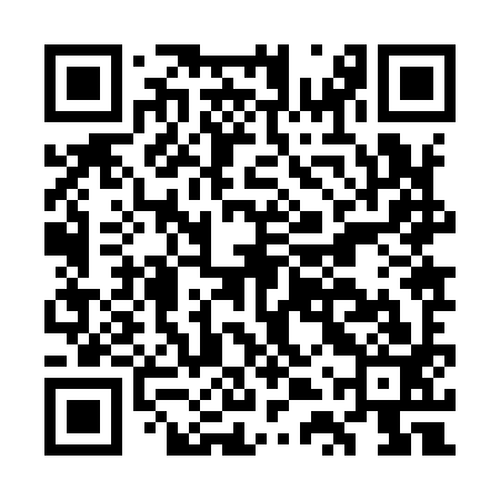 QR code for GTZ993
