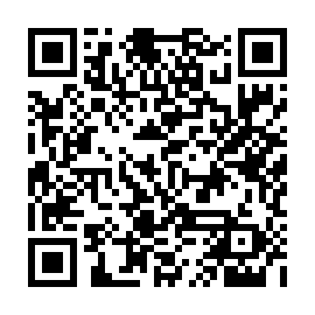 QR code for GUI699