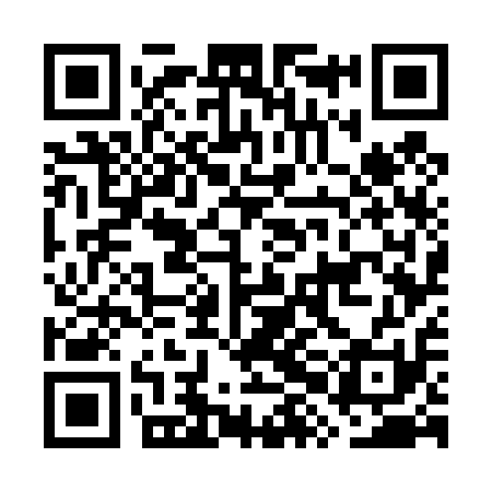 QR code for GXG411