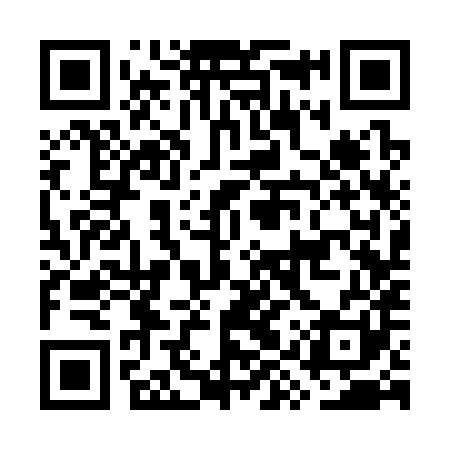 QR code for GYS381