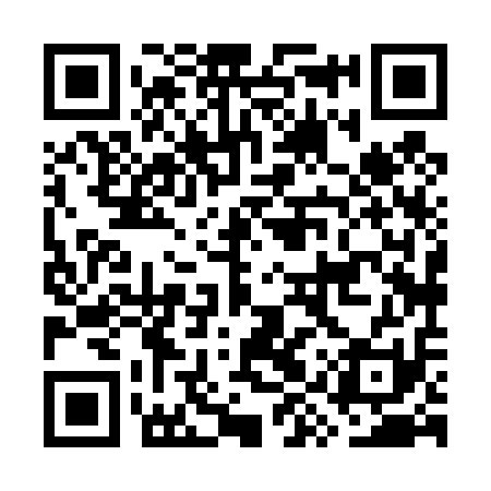 QR code for GYX411