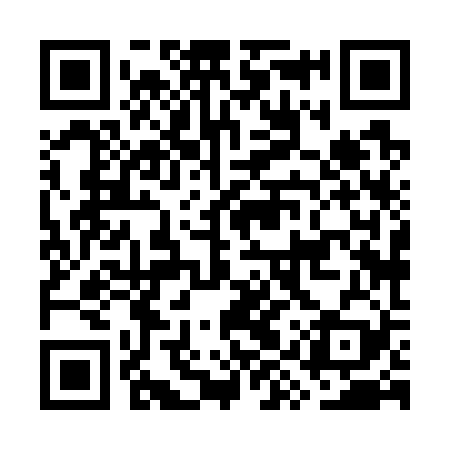 QR code for GYX729