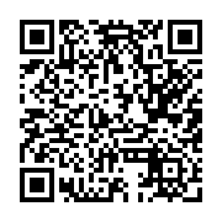 QR code for HAE313