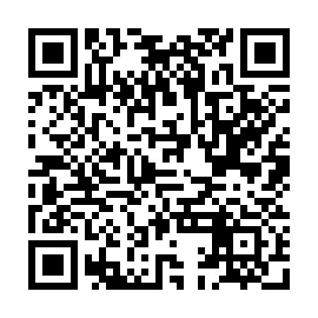 QR code for HAK333